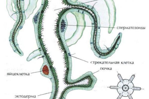 Магазин кракен даркнет сайт