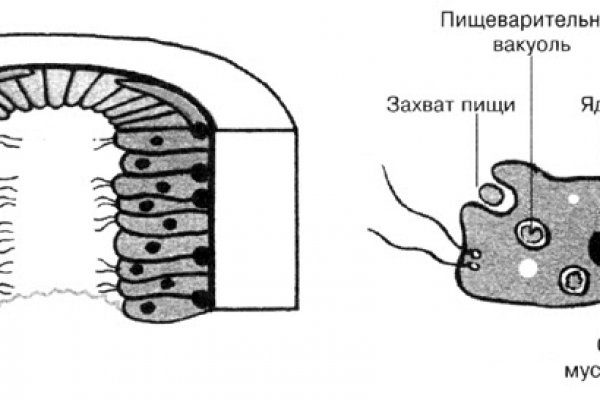 Кракен что можно купить