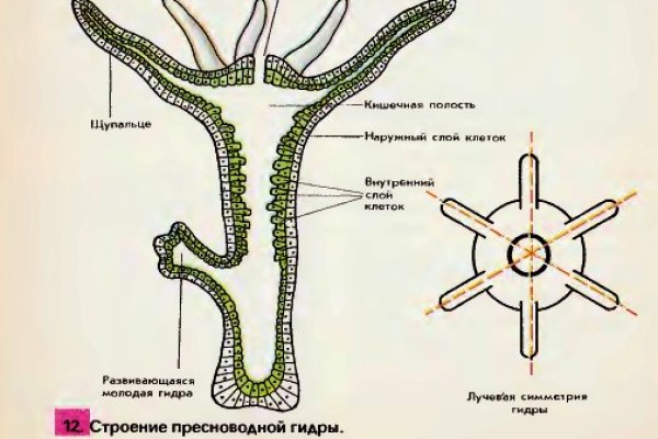 Кракен рабочая ссылка